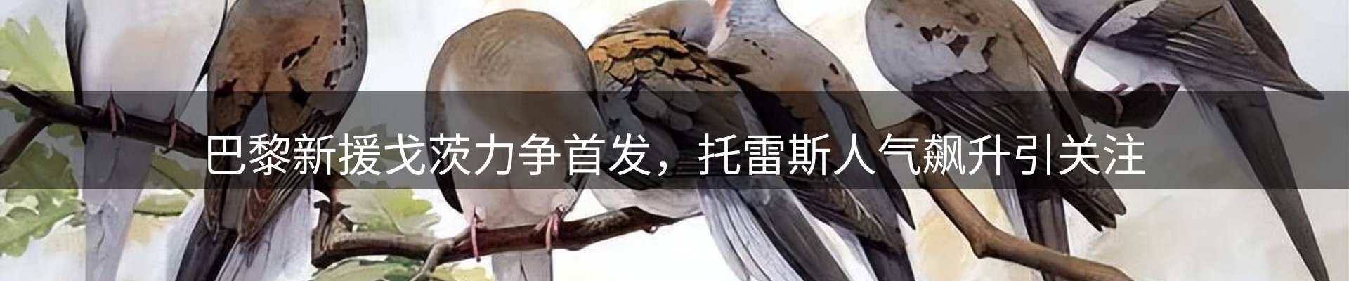 资讯一览