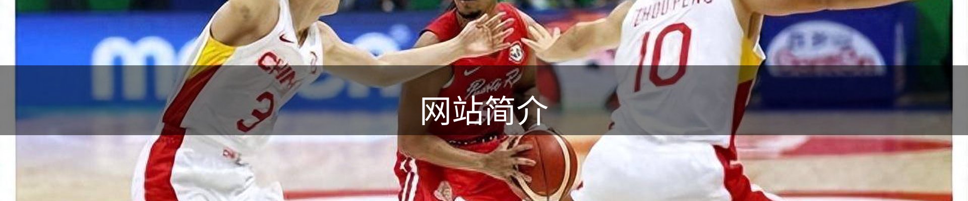 网站简介